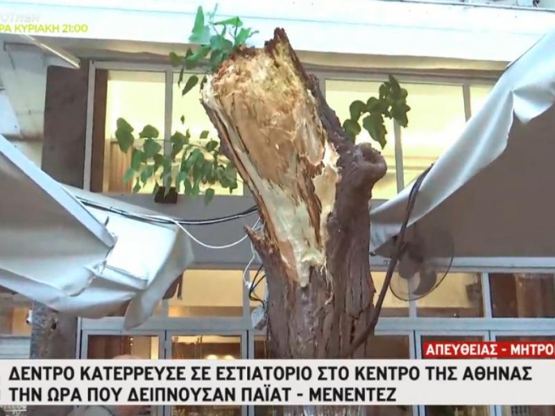 Αθήνα: Κατέρρευσε δέντρο στο εστιατόριο που δειπνούσαν Πάιατ με Μενέντεζ 