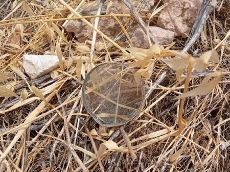 Συναγερμός-Δήμαρχος Ελληνικού: Υπήρξε απόπειρα εμπρησμού στον Υμηττό 