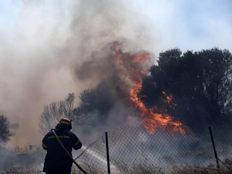 Φωτιά-Θεολόγος: Αρνείται την κατηγορία για εμπρησμό ο 14χρονος (Video)