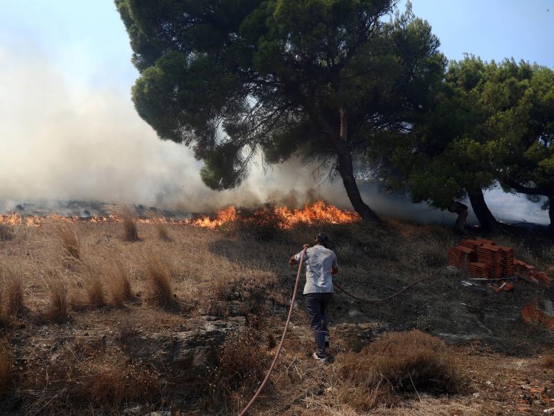 Φωτιά στην Κερατέα