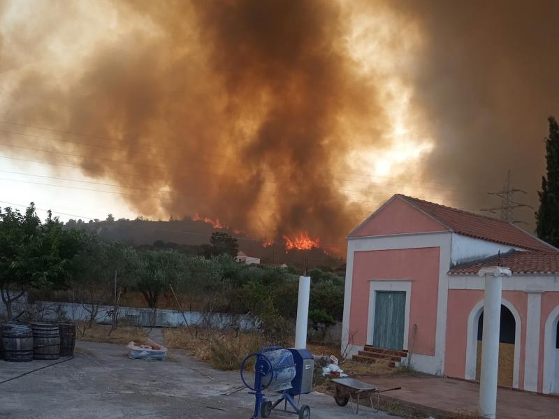 Φωτιές: Σε αλληλεγγύη στις πυρόπληκτες περιοχές καλούν Σύλλογοι