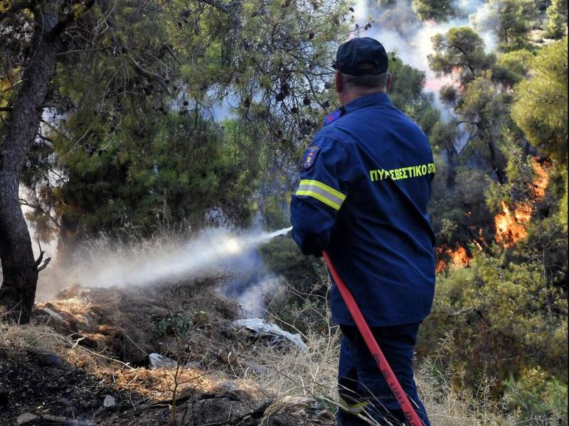 Έβρος: Πυρκαγιά τώρα στα στο χωριό Λαγυνά