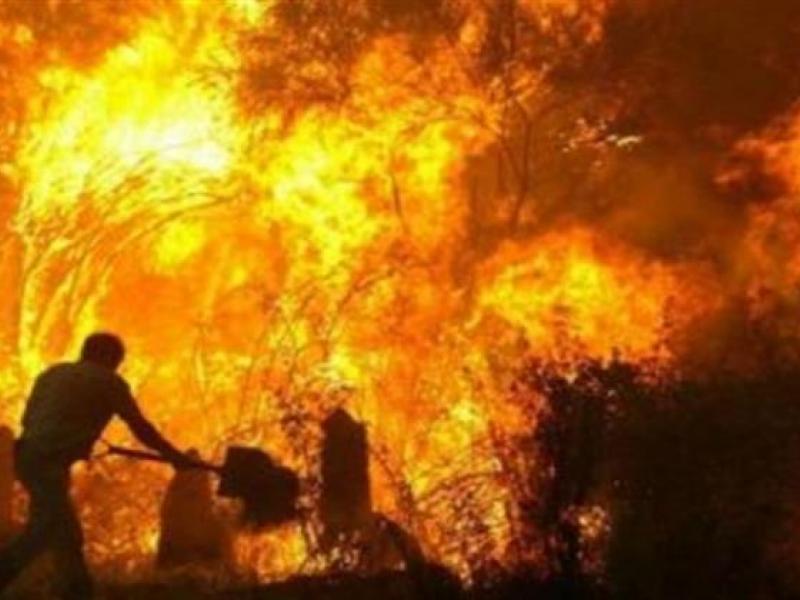 Οι πολεμιστές της Λινίσταινας στις φωτιές του 2007 - Μια πραγματική ιστορία