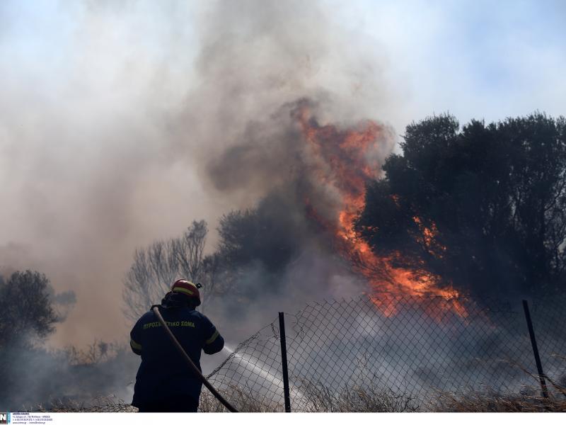 Φωτιά στα Βίλια: «Έχουμε ενδείξεις για εμπρησμό» λέει ο δήμαρχος