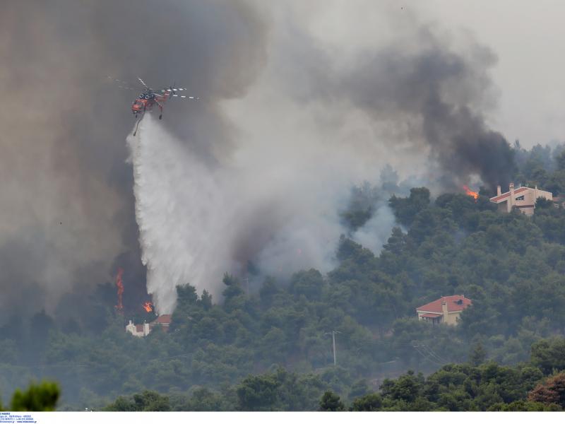 Φωτιά στην Ηλεία: Εκκενώνεται ξανά ο Λάλας, μήνυμα από το 112