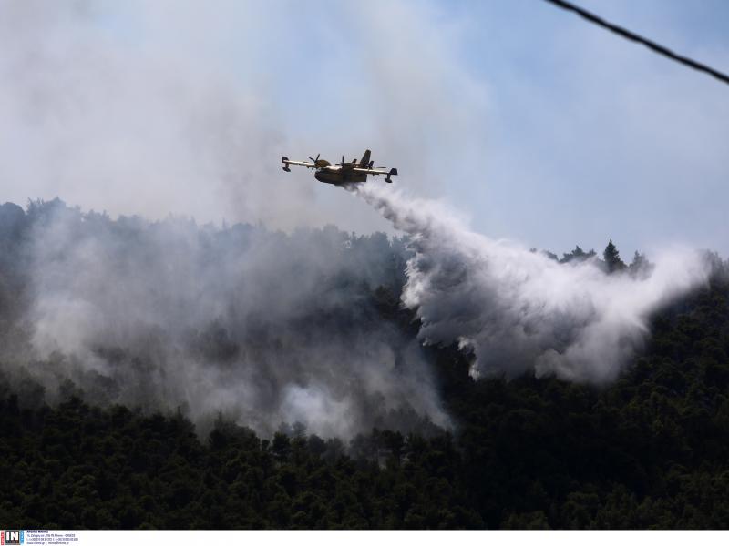 fotia pyrkagia canadair