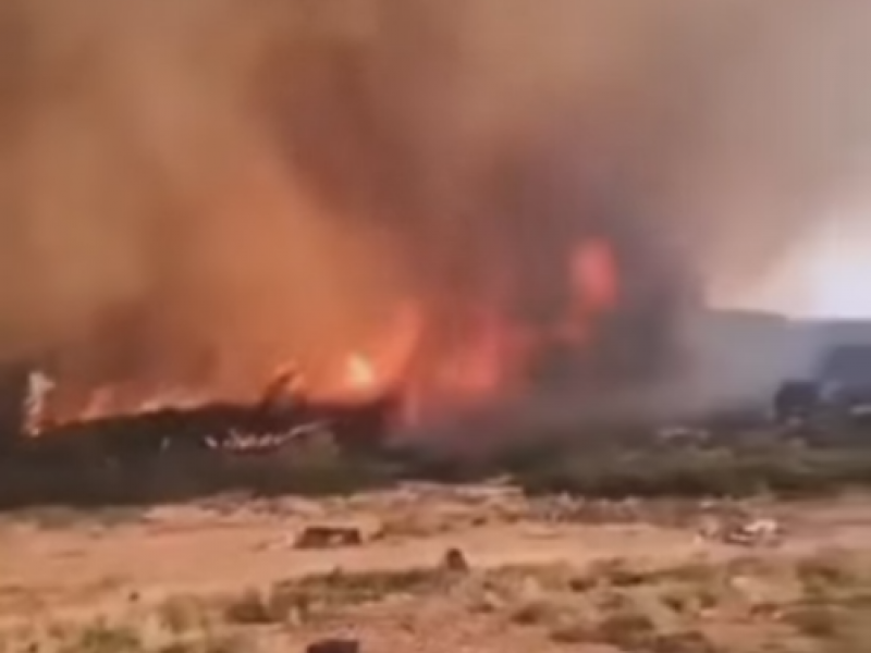 Συγκλονιστικό βίντεο από τα Βίλια: Στρόβιλος φωτιάς εκτόξευσε κορμό δέντρου στους πυροσβέστες