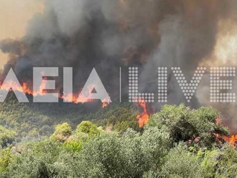 Αρχαία Ολυμπία: Προ των πυλών της ιερής πόλης η πυρκαγιά 