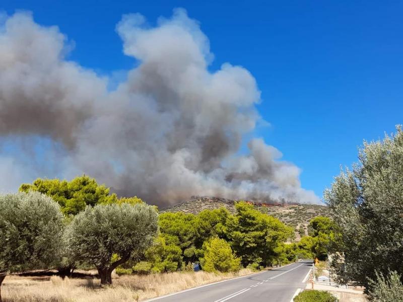 Meteo: Κάηκε το 1/3 του δάσους από την φωτιά στην Εύβοια