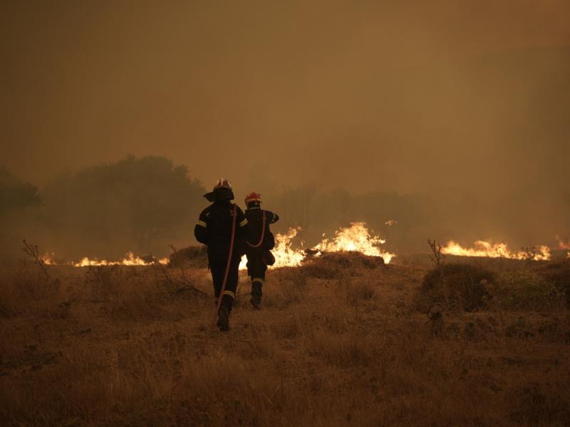 Πυρόπληκτοι φοιτητές: Από σήμερα οι αιτήσεις για μετεγγραφή/μετακίνηση