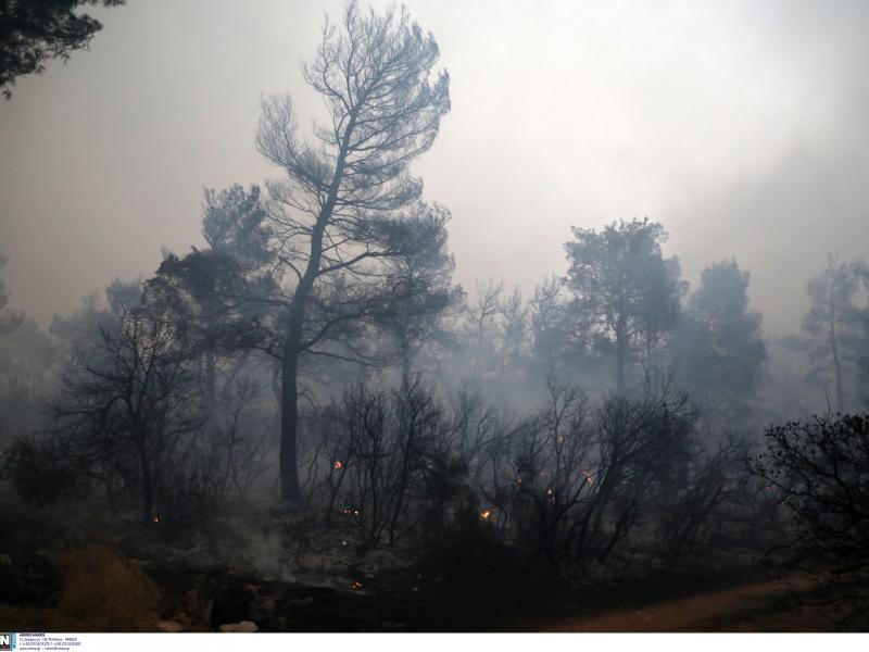 Φωτιά στα Βίλια: Μαίνεται ανεξέλεγκτη για τέταρτη ημέρα - Συνεχείς αναζωπυρώσεις