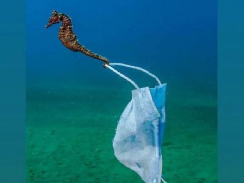 Η συγκλονιστική λήψη Έλληνα φωτογράφου, που είναι υποψήφια για βραβείο