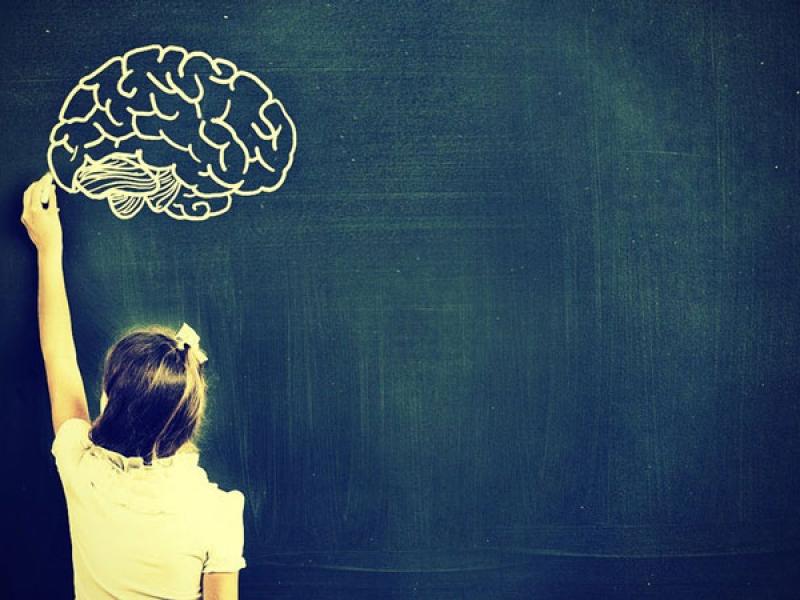 Ο εγκέφαλος – Ένα σπουδαίο μάθημα με τεράστια οφέλη στη μάθηση!