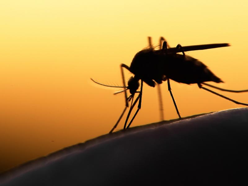 Ιστορική ανακοίνωση ΠΟΥ: Εγκρίθηκε το πρώτο εμβόλιο κατά της ελονοσίας για παιδιά