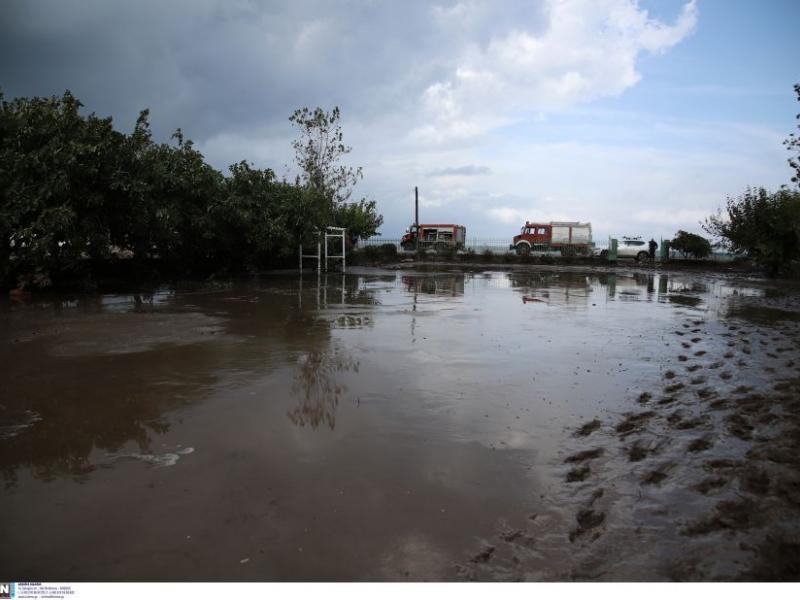 Πλημμύρες: 132 άνθρωποι έχασαν τη ζωή τους στην Ελλάδα μέσα σε 20 χρόνια