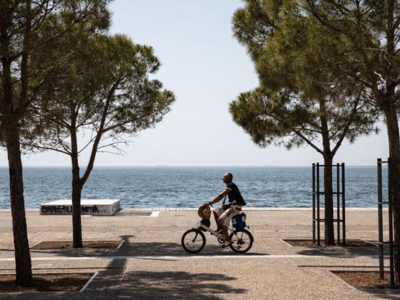 φύση, θάλασσα, δέντρα, ποδηλάτης