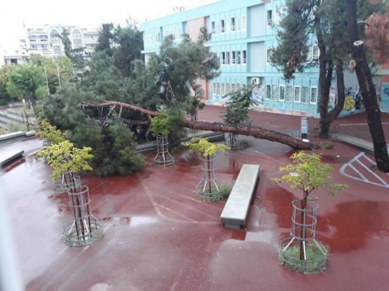 Κακοκαιρία Μπάλλος: Δέντρο έπεισε στην αυλή σχολείου στη Θεσσαλονίκη