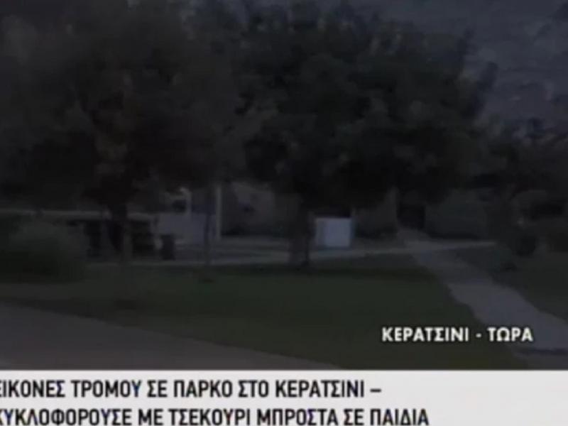 Τρόμος σε πάρκο στο Κερατσίνι: Άνδρας κυνηγούσε τον αδερφό του με τσεκούρι