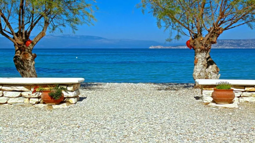βραχατι