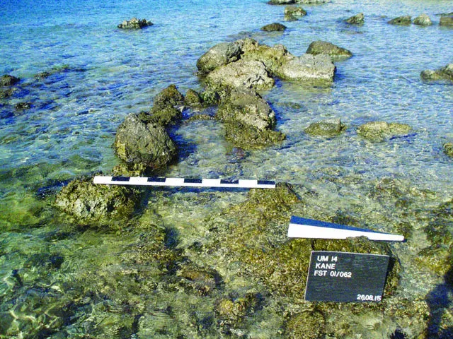 Αργινούσες