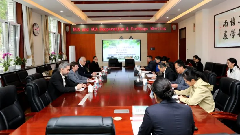 auabeijing_6.jpg