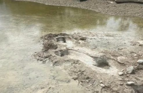 deinosauroi