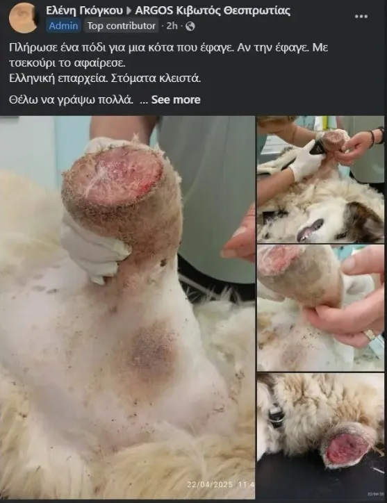 σκύλος