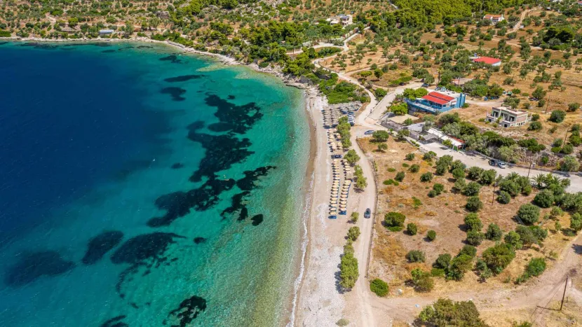 φλαμπουρο