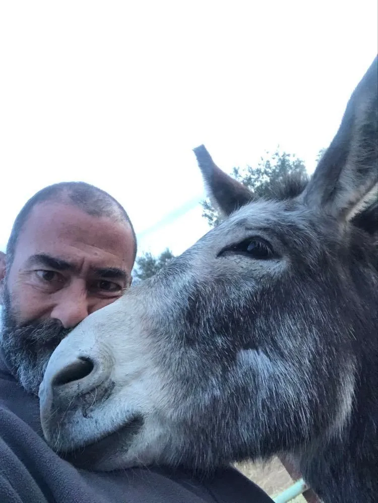 Γαϊδουροχώρα
