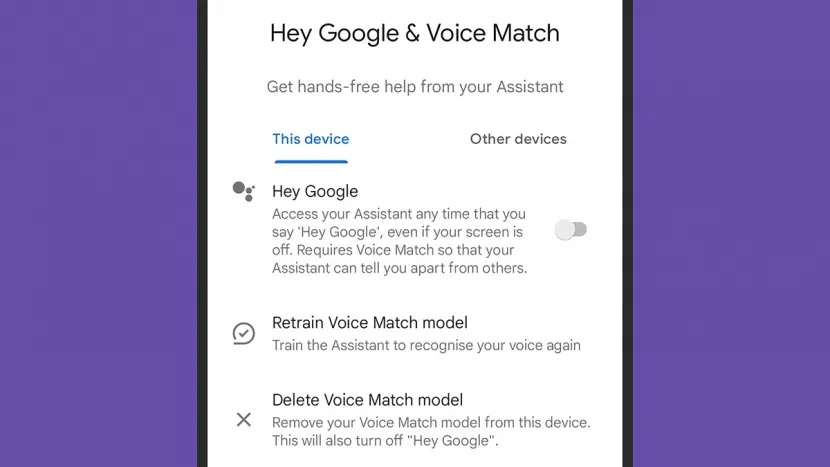 Hey Google