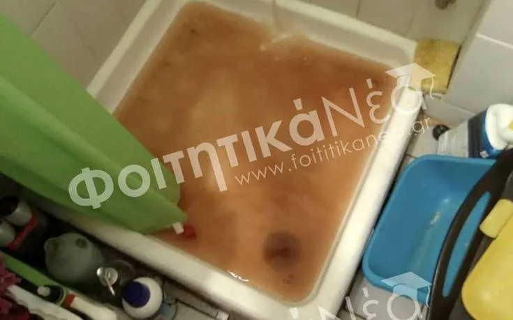 Καταγγελία