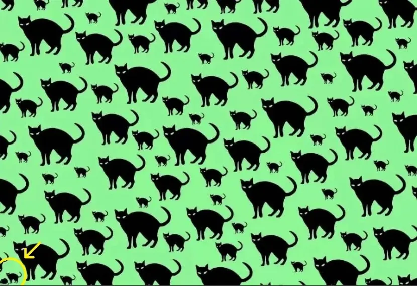 Λύση στην οφθαλμαπάτη με το ποντίκι