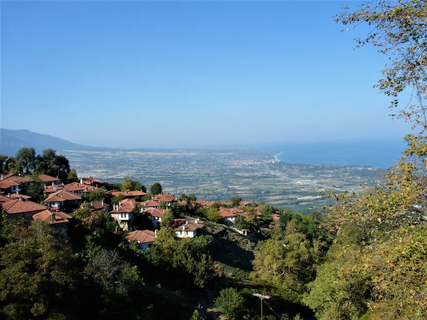 pieria