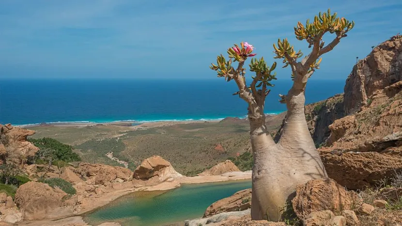 νησί
