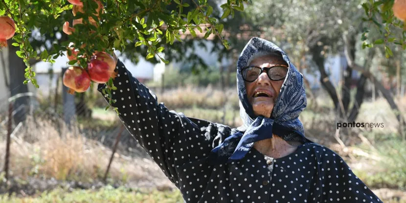 Παρέσσα Ορφανίδου