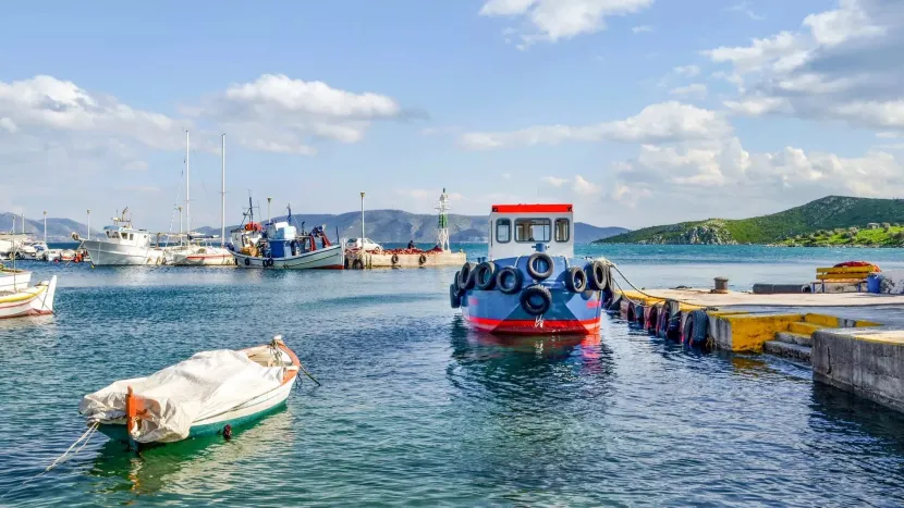 Πάχη