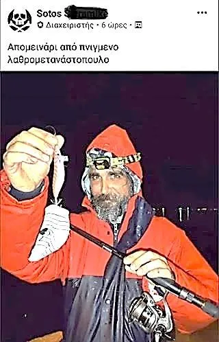 Φασιστική ανάρτηση