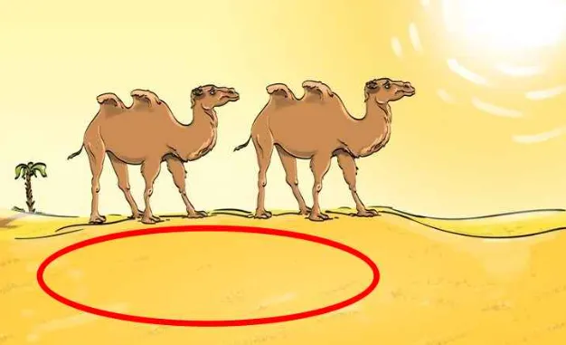 grifos