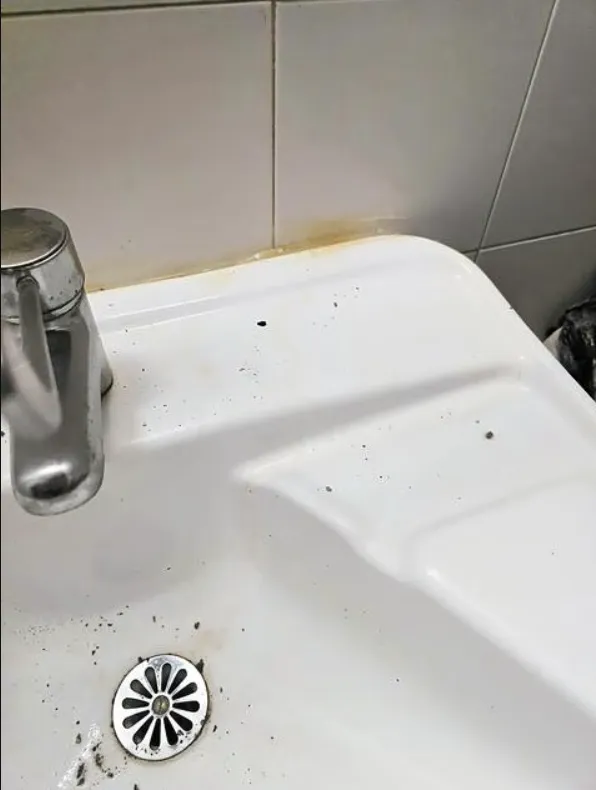 Περιττώματα από τρωκτικά πάνω σε νιπτήρες