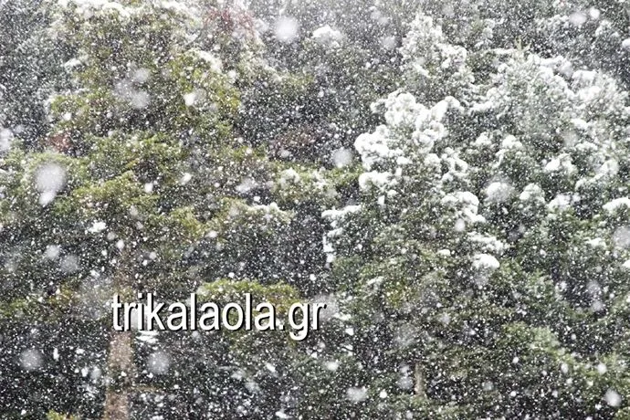 Τρίκαλα