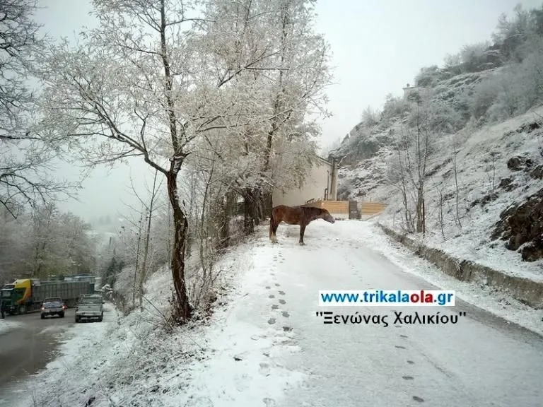 Χιόνια στα Τρίκαλα
