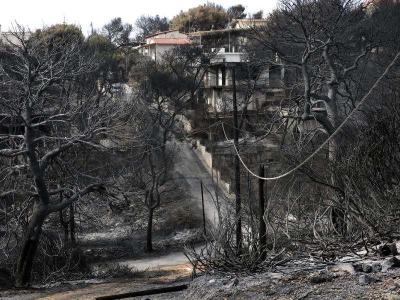 Δίκη για το Μάτι: «Η μάνα μου ήταν γυμνή, καμένη, χωρίς μαλλιά και ούρλιαζε»