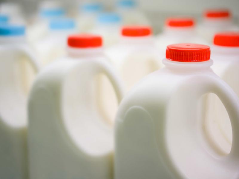 ΗΠΑ: Βρέθηκαν ίχνη της νόσου των πτηνών στο αγελαδινό γάλα