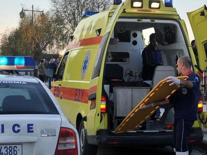 Μια πρωτοφανης "γενοκτονια" στο βωμο της ασφαλτου και της ανευθυνοτητας...