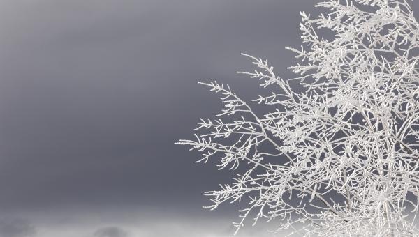 kakokairia xioni kryo