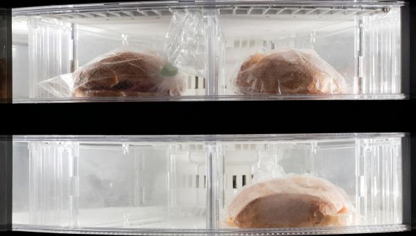 Καταψύκτης