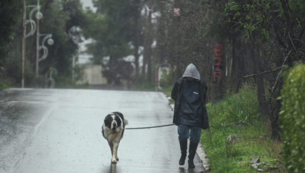 Ιδιοκτήτης περπατάει με το σκύλο του εν μέσω βροχής