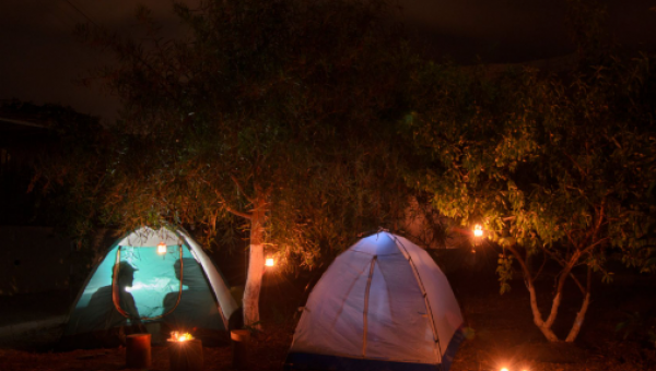kamping