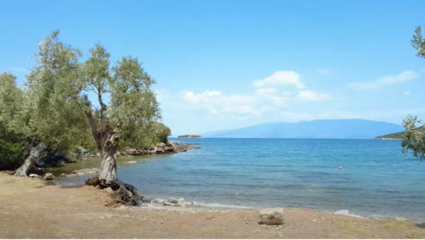 Παραλία Τζιτζίκια