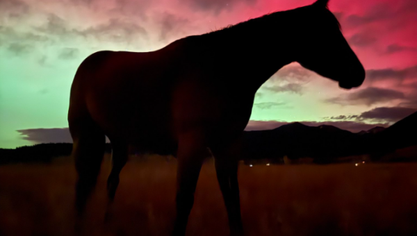 γεωμαγνητική καταιγίδα